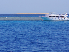 Коралловый риф Гота Абу Рамада